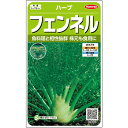 【サカタのタネ公式】 ハーブ フェンネル 野菜 種 約120粒 小袋 春まき 秋まき 固定種 簡単 初心者向き 育てやすい プランター 鉢 家庭菜園 ベランダ栽培 収穫 園芸 種子 タネ たね