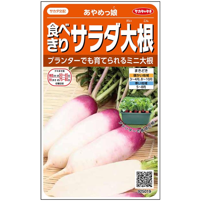 【サカタのタネ公式】 ミニダイコン あやめっ娘 野菜 種 約115粒 小袋 春まき 秋まきサカタ交配 簡単 初心者向き 育てやすい プランター 鉢美味しい 家庭菜園 ベランダ栽培 収穫園芸 大根 だいこん種子 タネ たねのサムネイル