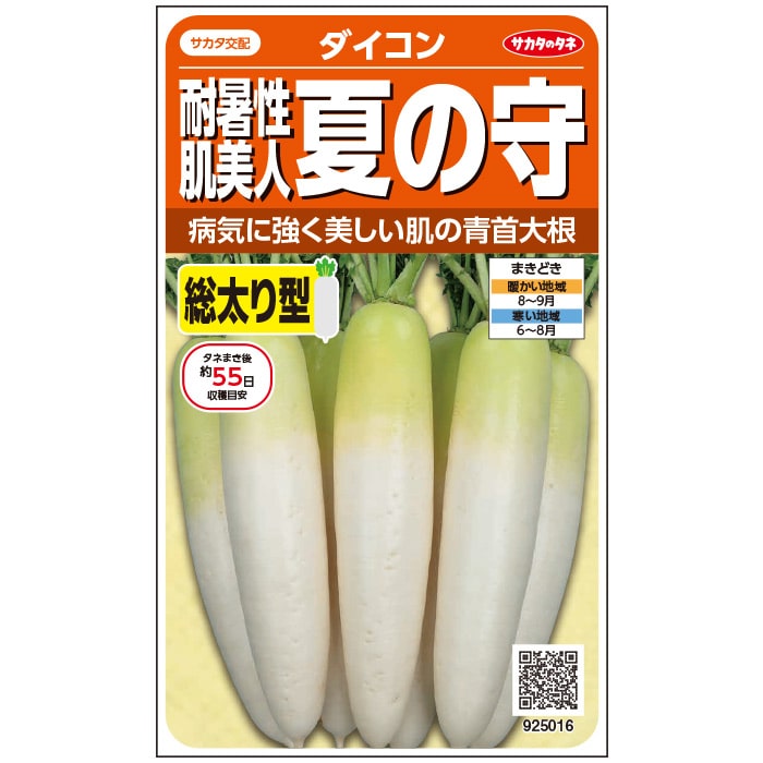 【サカタのタネ公式】 ダイコン 夏の守 野菜 種 約150粒 小袋 秋まき サカタ交配 地植え 美味しい 家庭菜園 栽培 収穫 園芸 大根 だいこん 種子 タネ たねのサムネイル