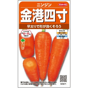 【サカタのタネ公式】 ニンジン 金港四寸 野菜 種 約1000粒 小袋 春まき 秋まき 固定種 家庭菜園 栽培 収穫 園芸 人参 にんじん 種子 タネ たね