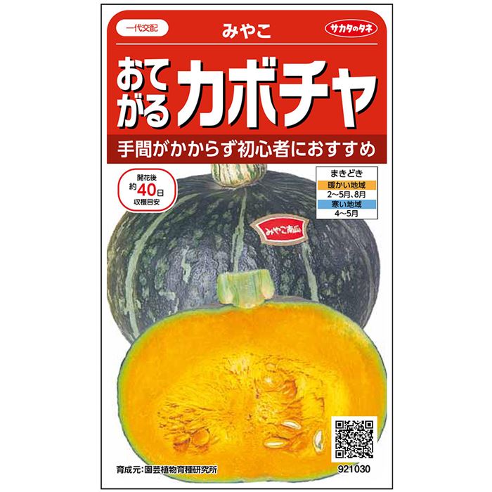 【サカタのタネ公式】 カボチャ みやこ 野菜 種 約7粒 小袋 春まき 美味しい 家庭菜園 栽培 収穫 園芸 南瓜 かぼちゃ 種子 タネ たねのサムネイル