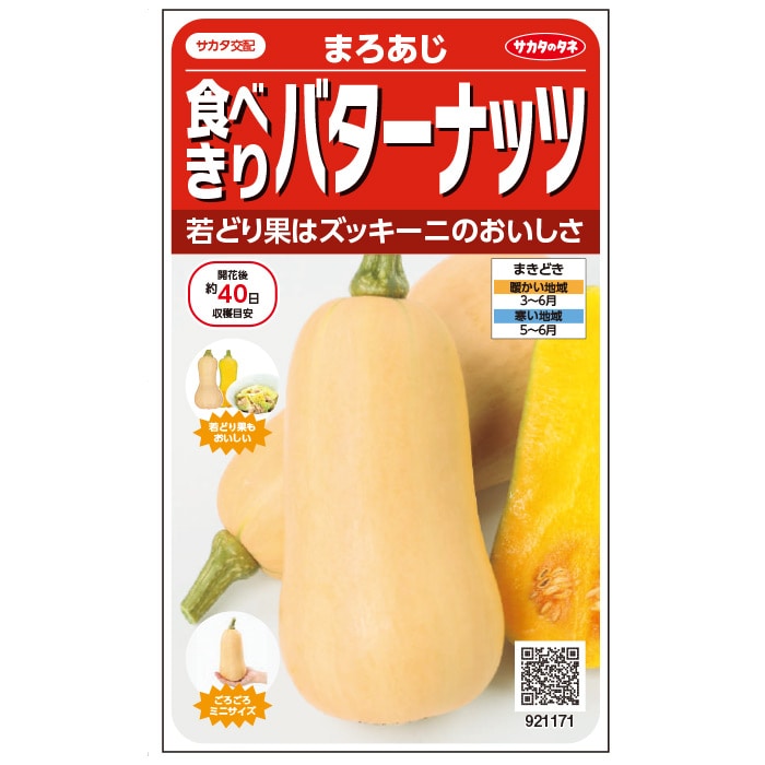 【サカタのタネ公式】 カボチャ 食べきりバターナッツ まろあじ 野菜 種 約6粒 小袋 春まき サカタ交配家庭菜園 栽培 収穫園芸 南瓜 かぼちゃ種子 タネ たねのサムネイル