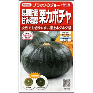 【サカタのタネ公式】 栗カボチャ ブラックのジョー 野菜 種 約6粒 小袋 春まき サカタ交配 美味しい 家庭菜園 栽培 収穫園芸 南瓜 かぼちゃ種子 タネ たね