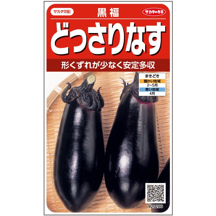 【サカタのタネ公式】 ナス 黒福 野菜 種 約75粒 小袋 春まき サカタ交配 簡単 初心者向き 育てやすい プランター 鉢美味しい 家庭菜園 ベランダ栽培 収穫園芸 茄子 なす種子 タネ たねのサムネイル