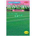【サカタのタネ公式】 西洋芝 みどりの芝生シリーズ 踏みに強い 野菜 種 0 小袋 春まき 秋まき 固定種 家庭菜園 栽培 収穫 園芸 芝 種子 タネ たね