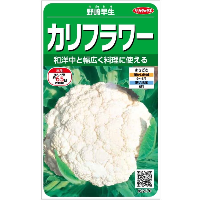 【サカタのタネ公式】 カリフラワー 野崎早生 野菜 種 約125粒 小袋 春まき 秋まきサカタ交配地植え 美味しい 家庭菜園 栽培 収穫園芸 花キャベツ 種子 タネ たね