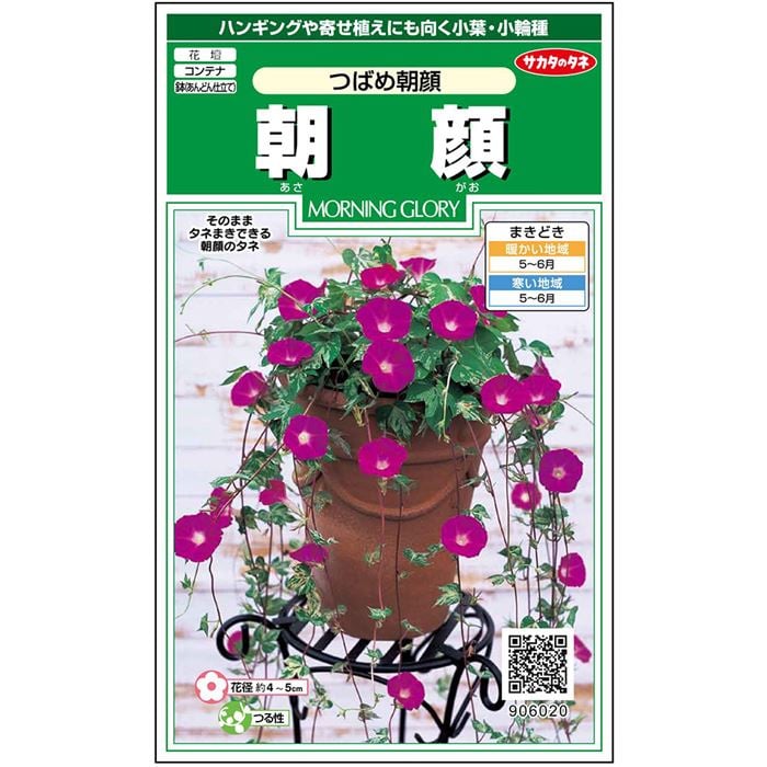 【サカタのタネ公式】 アサガオ つばめ朝顔 花 種 約16粒 小袋 春まき 夏ピンク 鉢植え 地植え 簡単 初心者向き 育てやすい プランター 鉢 珍しい ベランダ栽培ガーデニング 園芸 朝顔 あさがお種子 タネ たねのサムネイル