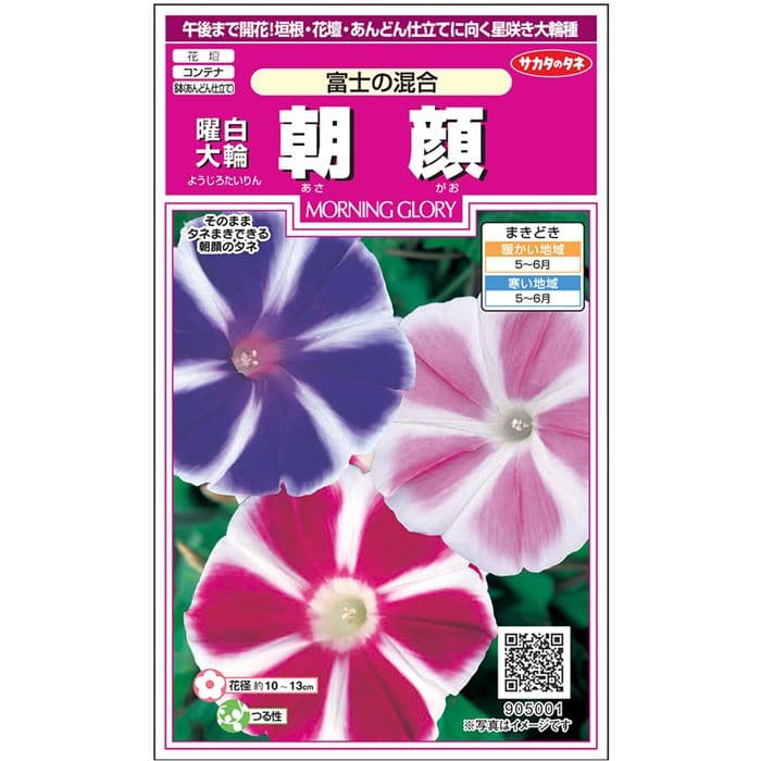 【サカタのタネ公式】 アサガオ 富士の混合 花 種 約11粒 小袋 春まき 夏 マルチカラー 鉢植え 地植え 簡単 初心者向き 育てやすい プランター 鉢 ベランダ栽培 ガーデニング 園芸 朝顔 あさがお 種子 タネ たねのサムネイル