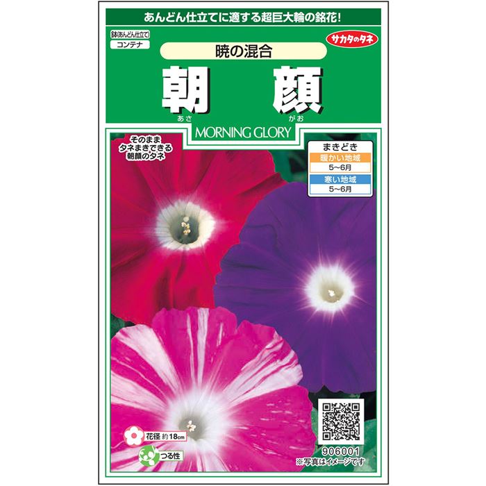 【サカタのタネ公式】 アサガオ 暁の混合 花 種 約10粒 小袋 春まき 夏マルチカラー 鉢植え 地植え 簡単 初心者向き 育てやすい プランター 鉢ベランダ栽培ガーデニング 園芸 朝顔 あさがお種子 タネ たねのサムネイル