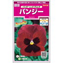 【サカタのタネ公式】 パンジー パシオ レッドブロッチ(ver.2) 花 種 約35粒 小袋 春まき 秋まき 秋 冬 レッド 鉢植え 地植え プランター 鉢 ベランダ栽培 ガーデニング 園芸 三色菫 三色スミレ 種子 タネ たね