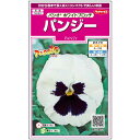 【サカタのタネ公式】 パンジー パシオ ホワイトブロッチ 花 種 約35粒 小袋 春まき 秋まき 秋 冬 ホワイト 鉢植え 地植え プランター 鉢 ベランダ栽培 ガーデニング 園芸 三色菫 三色スミレ 種子 タネ たね