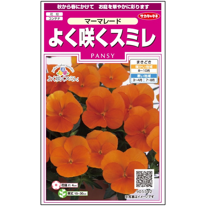 【サカタのタネ公式】 パンジー よく咲くスミレ マーマレード（ver.2） 花 種 約40粒 小袋 春まき 秋まき 秋 冬 オレンジ 鉢植え 地植え プランター 鉢 ベランダ栽培 ガーデニング 園芸 三色菫 三色スミレ 種子 タネ たねのサムネイル