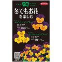 【サカタのタネ公式】 ビオラ ピエナ 2種 冬でもお花を楽しむ 花 種 0 小袋 秋まき 秋 冬 マルチカラー 鉢植え 地植え 簡単 初心者向き 育てやすい プ...