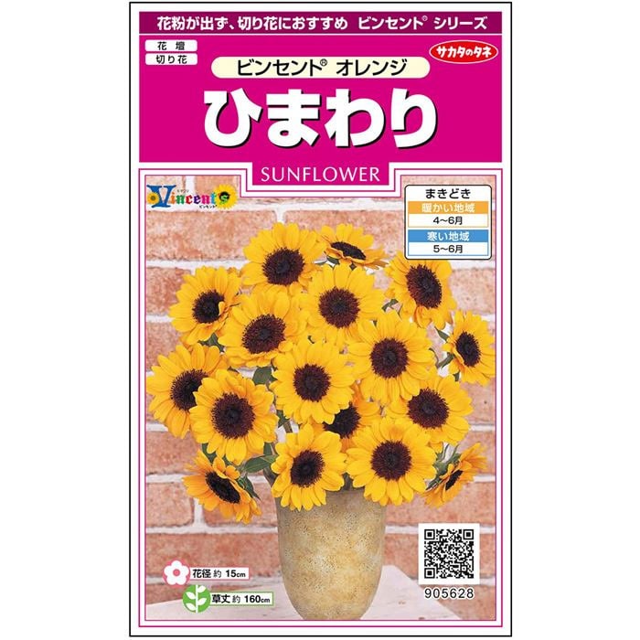 【サカタのタネ公式】 ヒマワリ ビンセント (2型) オレンジ 花 種 フィルムコート種子約15粒 小袋 春まき 夏オレンジ 鉢植え 地植え 切り花簡単 初心者向き 育てやすいガーデニング 園芸 向日葵ビンセント 種子 タネ たねのサムネイル