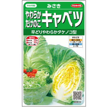 【サカタのタネ公式】 キャベツ 種 小袋 約75粒 みさき 野菜 秋まき 春まき サカタ交配 珍しい 美味しい サラダ向き 煮物向き 家庭菜園 栽培 収穫 きゃべつ 甘藍 種子 タネ たね