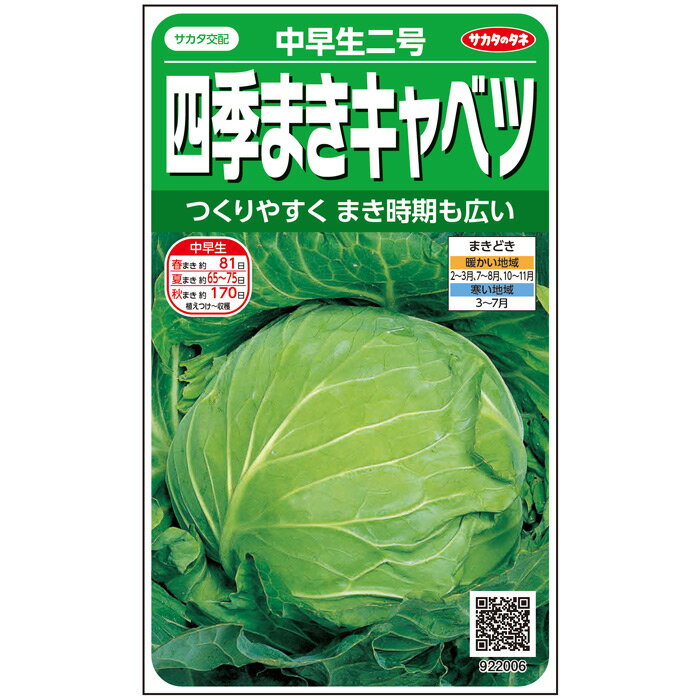 【サカタのタネ公式】 キャベツ 中早生二号 野菜 種 約125粒 小袋 春まき サカタ交配 簡単 初心者向き 育てやすい美味しい 家庭菜園 栽培 収穫園芸 甘藍 きゃべつ カンラン 種子 タネ たね