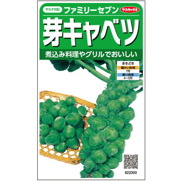 【サカタのタネ公式】 芽キャベツ 種 小袋 約100粒 ファミリーセブン 野菜 秋まき 春まき サカタ交配 珍しい 煮物向き 家庭菜園 栽培 収穫 きゃべつ 種子 タネ たね