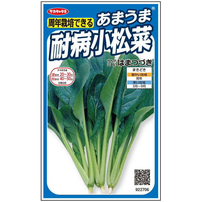 【サカタのタネ公式】 コマツナ はまつづき 野菜 種 約1555粒 小袋 春まき サカタ交配 簡単 初心者向き 育てやすい プランター 鉢 家庭菜園 ベランダ栽培 収穫園芸 小松菜 こまつな 冬菜 鶯菜 種子 タネ たね