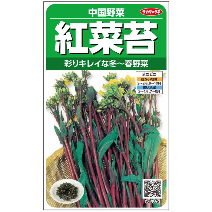 【サカタのタネ公式】 コウサイタイ 紅菜苔 野菜 種 約1410粒 小袋 秋まき 固定種 簡単 初心者向き 育てやすい プランター 鉢 珍しい 美味しい 家庭菜園 ベランダ栽培 収穫園芸種子 タネ たね