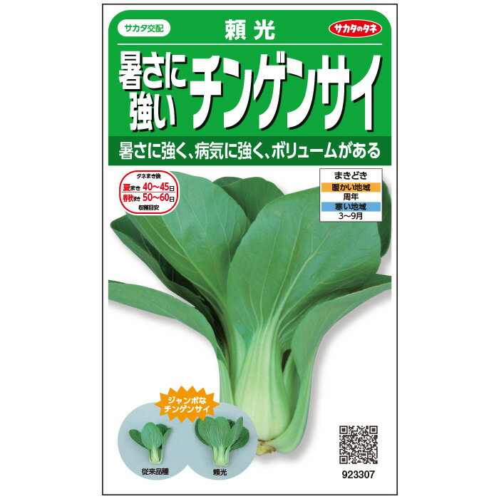 【サカタのタネ公式】 暑さに強いチンゲンサイ 頼光 野菜 種 約650粒 小袋 春まき 秋まきサカタ交配 簡単 初心者向き 育てやすい プランター 鉢 家庭菜園 ベランダ栽培 収穫園芸種子 タネ たね