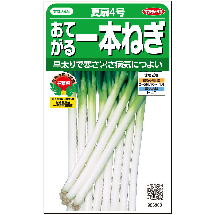 【サカタのタネ公式】 ネギ 夏扇4号 野菜 種 約375粒 小袋 春まき 秋まきサカタ交配 簡単 初心者向き 育てやすい美味しい 家庭菜園 栽培 収穫園芸 葱 ねぎ 薬味 種子 タネ たね