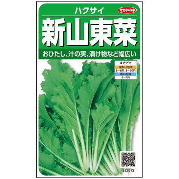 【サカタのタネ公式】 白菜 種 小袋 約1330粒 春まき新山東菜 野菜 秋まき 春まき 固定種 在来種 簡単 初心者向き 育てやすい プランター 鉢 珍しい 家庭菜園 ベランダ栽培 収穫 ハクサイ はくさい 種子 タネ たね