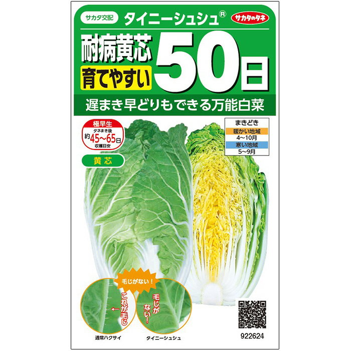 【サカタのタネ公式】 ミニハクサイ タイニーシュシュ 野菜 種 約275粒 小袋 春まき 秋まきサカタ交配珍しい 美味しい サラダ向き家庭菜園 栽培 収穫園芸 白菜 はくさい種子 タネ たね