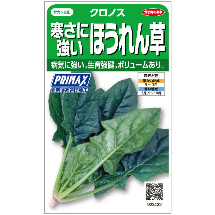 【サカタのタネ公式】 ホウレンソウ クロノス 野菜 種 プライマックス約875粒 小袋秋まきサカタ交配 鉢植え 地植え家庭菜園 栽培 収穫園芸 ほうれんそう ホウレンソウ ほうれん草 種子 タネ たね