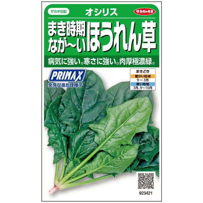 11月に植える野菜！プランターで育てることができる人気のおすすめを教えて！