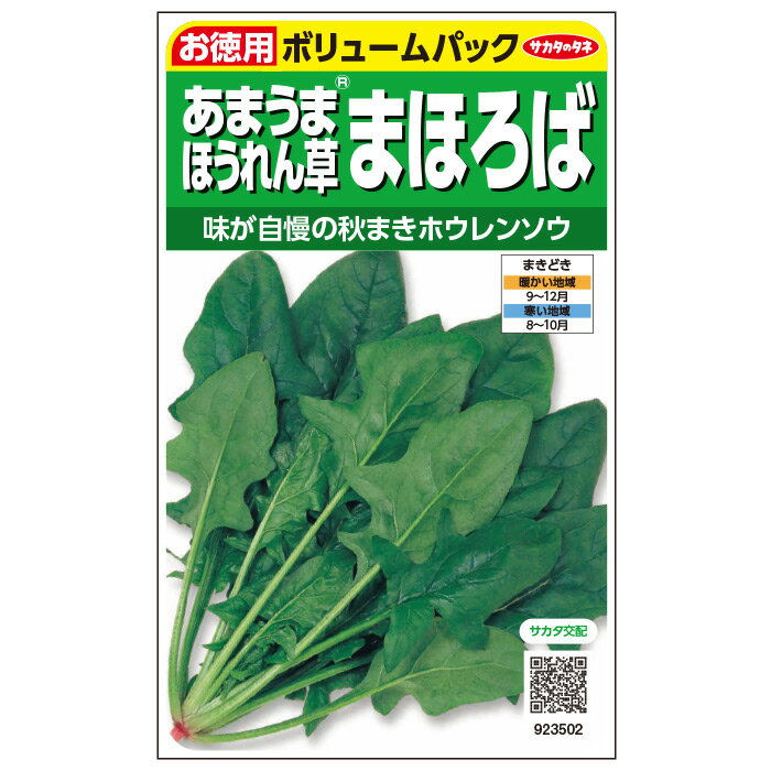 【サカタのタネ公式】 ホウレンソウ まほろば 野菜 種 約2250粒 小袋秋まき固定種 鉢植え 地植え家庭菜園 栽培 収穫園芸 ほうれんそう ホウレンソウ ほうれん草 種子 タネ たね