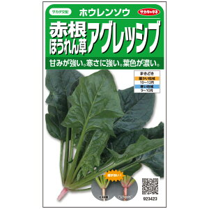 【サカタのタネ公式】 ホウレンソウ アグレッシブ 野菜 種 約750粒 小袋秋まきサカタ交配 鉢植え 地植え家庭菜園 栽培 収穫園芸 ほうれんそう ホウレンソウ ほうれん草 種子 タネ たね