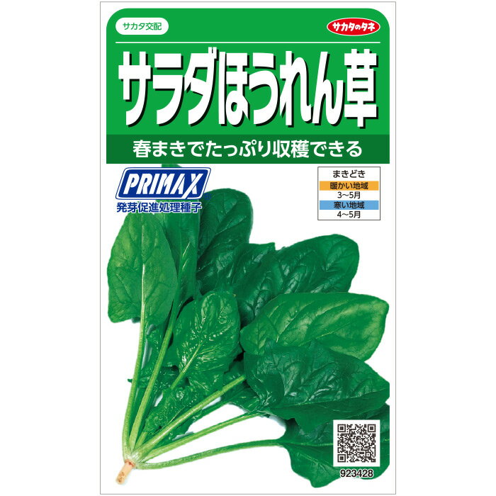 【サカタのタネ公式】 サラダほうれん草 トリトン 野菜 種 プライマックス約875粒 小袋 春まき サカタ交配 簡単 初心者向き 育てやすい プランター 鉢美味しい サラダ向き家庭菜園 ベランダ栽培 収穫園芸 ほうれんそう ホウレンソウ ほうれん草 種子 タネ たね