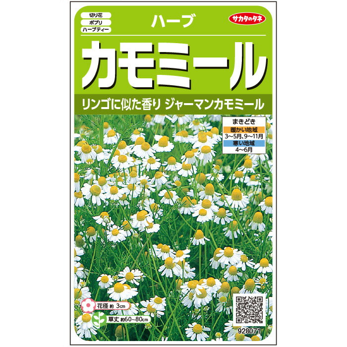 【サカタのタネ公式】 ハーブ ジャーマンカモミール 野菜 種 約4150粒 小袋 春まき 秋まき固定種 簡単 初心者向き 育てやすい プランター 鉢 家庭菜園 ベランダ栽培 収穫園芸 カモミール 種子 タネ たね