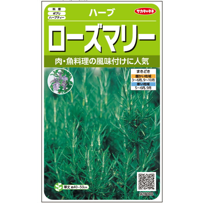 【サカタのタネ公式】 ハーブ ローズマリー 野菜 種 約65粒 小袋 春まき 秋まき固定種プランター 鉢 家庭菜園 ベランダ栽培 収穫園芸種子 タネ たね