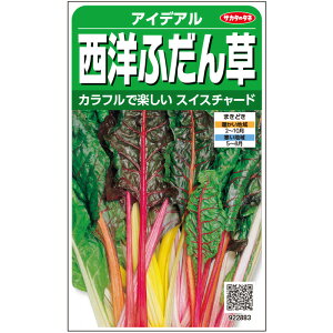 【サカタのタネ公式】 スイスチャード アイデアル 野菜 種 約30粒 小袋 春まき 秋まき固定種家庭菜園 栽培 収穫園芸 不断草 ふだんそう フダンソウ 種子 タネ たね