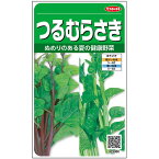 【サカタのタネ公式】つるむらさき 野菜 種 約50粒 小袋 春まき 固定種 簡単 初心者向き 育てやすい プランター 鉢 珍しい家庭菜園 ベランダ栽培 収穫園芸 つる紫ツルムラサキ 種子 タネ たね