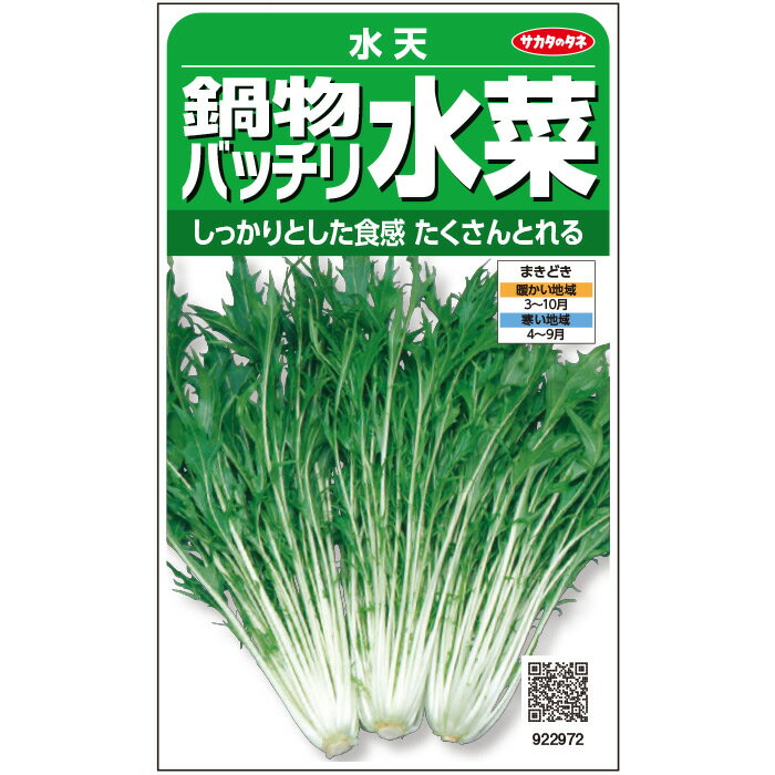 【サカタのタネ公式】 ミズナ 水天 野菜 種 約2000粒 小袋 春まき 秋まき固定種 簡単 初心者向き 育てやすい プランター 鉢 家庭菜園 ベランダ栽培 収穫園芸 水菜 みずな種子 タネ たねのサムネイル