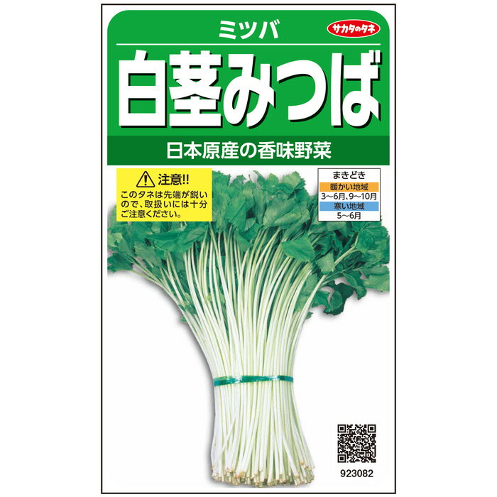 【サカタのタネ公式】白茎みつば 野菜 種 約1600粒 小