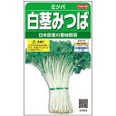 【サカタのタネ公式】白茎みつば 野菜 種 約1600粒 小