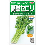 【サカタのタネ公式】 セロリ ミツバリアン 野菜 種 約250粒 小袋 春まき 秋まき家庭菜園 栽培 収穫園芸せろり オランダミツバ 種子 タネ たね