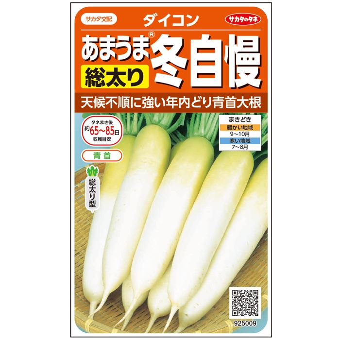 【サカタのタネ公式】 ダイコン 冬自慢 野菜 種 約235粒 小袋秋まきサカタ交配地植え 美味しい 家庭菜園 栽培 収穫園芸 大根 だいこん種子 タネ たね