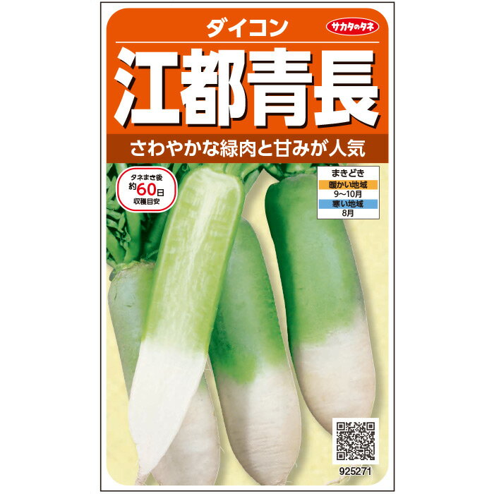 【サカタのタネ公式】 ミニダイコン 江都青長 野菜 種 約470粒 小袋秋まき固定種 鉢植え 地植え家庭菜園 栽培 収穫園芸 大根 だいこん種子 タネ たね