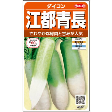 【サカタのタネ公式】 ミニ大根 種 小袋 約470粒 江都青長 野菜 秋まき 固定種 在来種 育てやすい プランター 鉢 珍しい 美味しい 甘い 大根おろし 家庭菜園 ベランダ栽培 収穫 ミニダイコン だいこん 種子 タネ たね