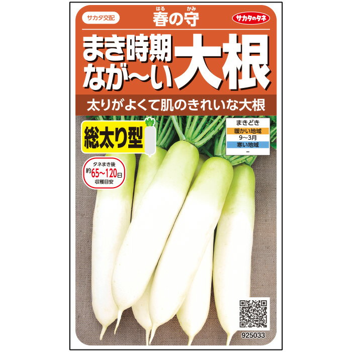 【サカタのタネ公式】 ダイコン 春の守 野菜 種 約150粒 小袋 春まき 秋まきサカタ交配 簡単 初心者向き 育てやすい 家庭菜園 栽培 収穫園芸 大根 だいこん種子 タネ たね