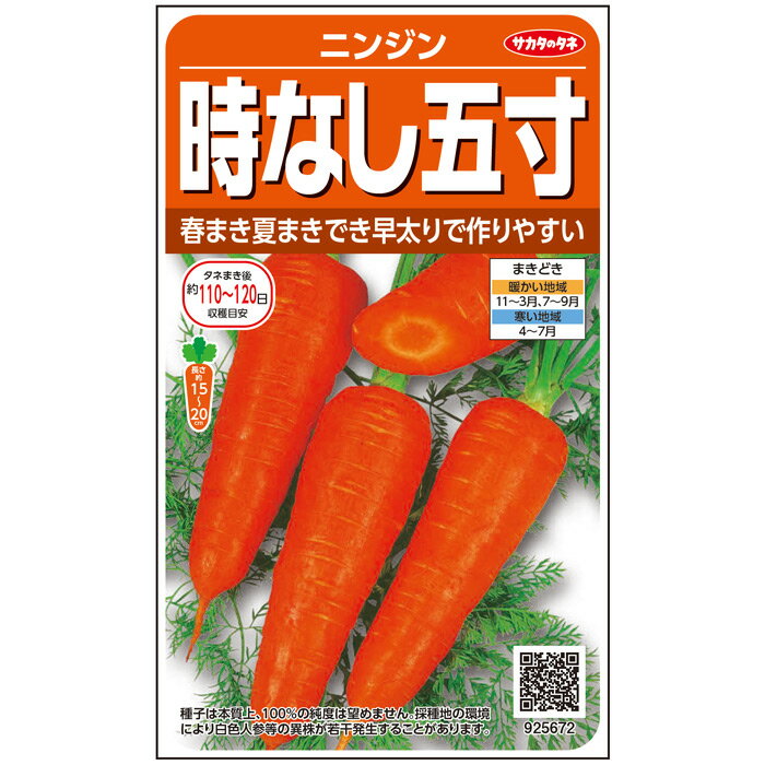 【サカタのタネ公式】 ニンジン 時なし五寸 野菜 種 約1170粒 小袋 春まき 秋まき固定種 簡単 初心者向き 育てやすい 家庭菜園 栽培 収穫園芸 人参 にんじん種子 タネ たね