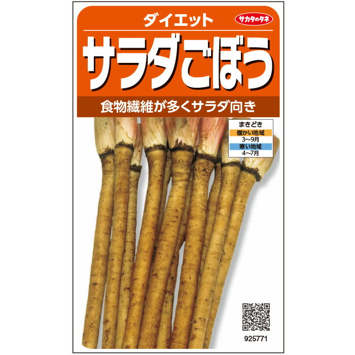 【サカタのタネ公式】 サラダゴボウ ダイエット 野菜 種 約250粒 小袋 春まき 固定種 美味しい サラダ..