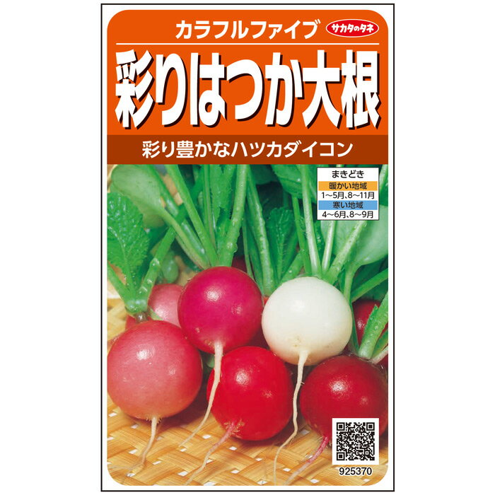 【サカタのタネ公式】 ハツカダイコン カラフルファイブ 野菜 種 約350粒 小袋 春まき 秋まき固定種 簡単 初心者向き 育てやすい プランター 鉢 サラダ向き家庭菜園 ベランダ栽培 収穫園芸 二十日大根 はつかだいこん ラディッシュ 種子 タネ たね