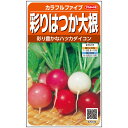 【サカタのタネ公式】 ハツカダイコン カラフルファイブ 野菜 種 約350粒 小袋 春まき 秋まき固定種 簡単 初心者向き 育てやすい プランター 鉢 サラダ向き家庭菜園 ベランダ栽培 収穫園芸 二十日大根 はつかだいこん ラディッシュ 種子 タネ たね