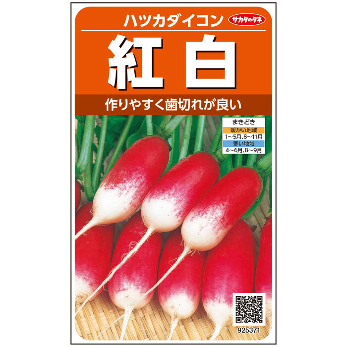 【サカタのタネ公式】 ハツカダイコン 紅白 野菜 種 約525粒 小袋 春まき 秋まき固定種 簡単 初心者向き 育てやすい プランター 鉢 サラダ向き家庭菜園 ベランダ栽培 収穫園芸 二十日大根 はつかだいこん ラディッシュ 種子 タネ たね