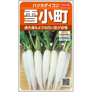 【サカタのタネ公式】 ハツカダイコン 雪小町 野菜 種 約525粒 小袋 春まき 秋まき固定種 簡単 初心者向き 育てやすい プランター 鉢 サラダ向き家庭菜園 ベランダ栽培 収穫園芸 二十日大根 はつかだいこん ラディッシュ 種子 タネ たね